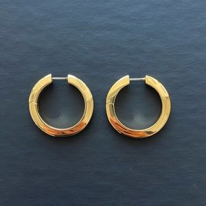 Jenny Bird Toni Hinged Hoop Earrings in High Polish Gold